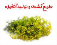 طرح کشت و تولید آنغوزه