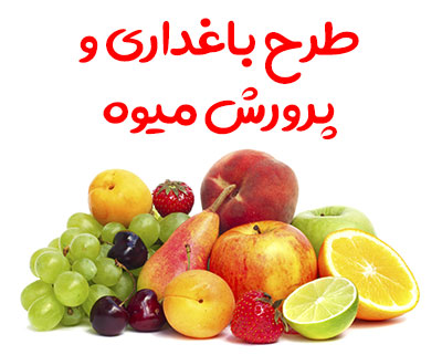 طرح باغداری و پرورش میوه